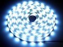 Taśma LED Premium 2835 120d/m 100m 6000K IP20