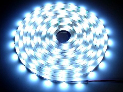 Taśma LED Premium 2835 120d/m 100m 6000K IP20