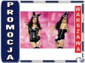 OBSESSIVE Bunny gorset kostium SEXI KRÓLICZEK