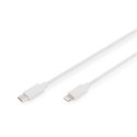 Digitus Digitus | Męski | Apple Lightning | Męski | Biały | 24-pinowy USB-C | 2 m