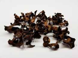 Tantora Black Curl 10g kryjówka krewetki