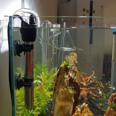 Deep Aqua Szklany Wylot Kielich 13mm(Wąż 12-16mm)