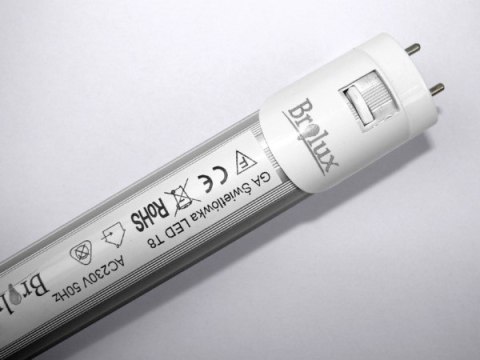 Świetlówka LED T8 120cm 18W jednostronna clear CW