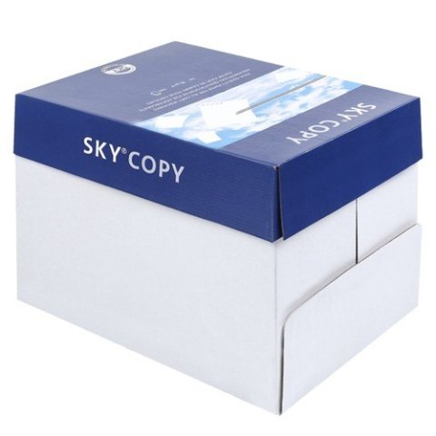 ND12_16499 Papier ksero A4 80g karton- 5 ryz 5902178612854