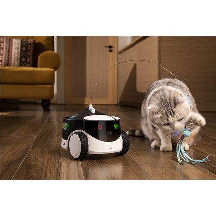 Enabot Enabot ROLA PetPal Family Robot IP Camera, White