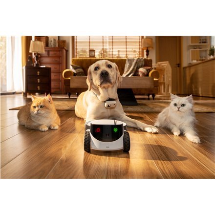 Enabot Enabot ROLA PetPal Family Robot IP Camera, White