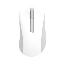 Asus Asus Wireless Mouse | MD102 | Mouse | 2.4 GHz, Bluetooth | White