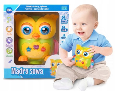 Mądra sowa e-edu 129971