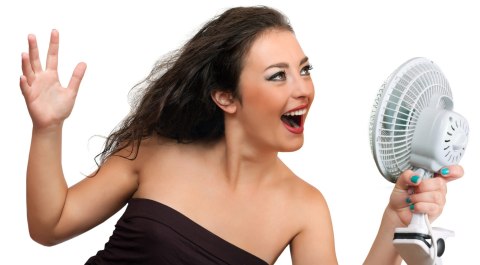 Wentylator AD 7317 ADLER