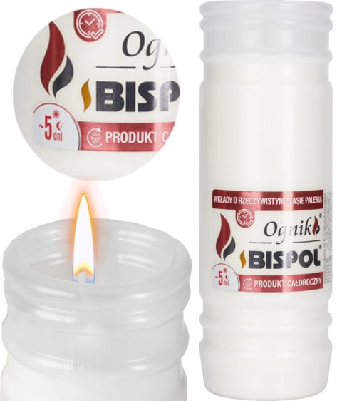BISPOL - Wkład Zalewany Ognik WP5N - 1 szt.