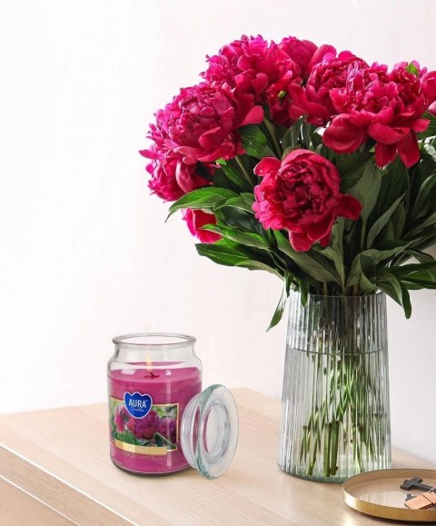 AURA Świeca Zapachowa WANILIA - BURSZTYN 100h snd99-355