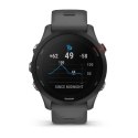 Zegarek sportowy Garmin Forerunner 255 46mm Slate Grey/Szary