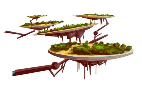 Gra apiary (edycja polska)