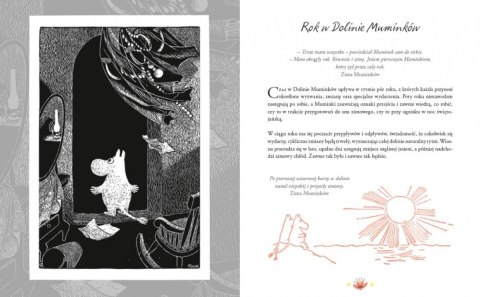 Książeczka Świat muminków stworzony przez tove jansson