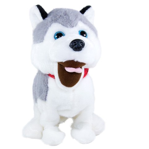 Maskotka interaktywna figo pies reagujący na komendy husky