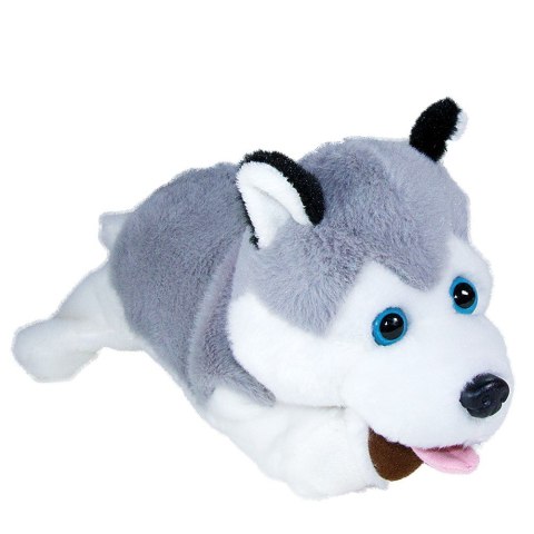 Maskotka interaktywna figo pies reagujący na komendy husky