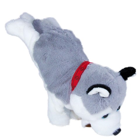 Maskotka interaktywna figo pies reagujący na komendy husky