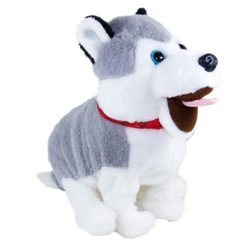 Maskotka interaktywna figo pies reagujący na komendy husky