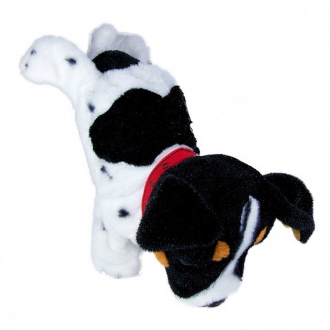 Maskotka interaktywna figo pies reagujący na komendy jack russel terrier