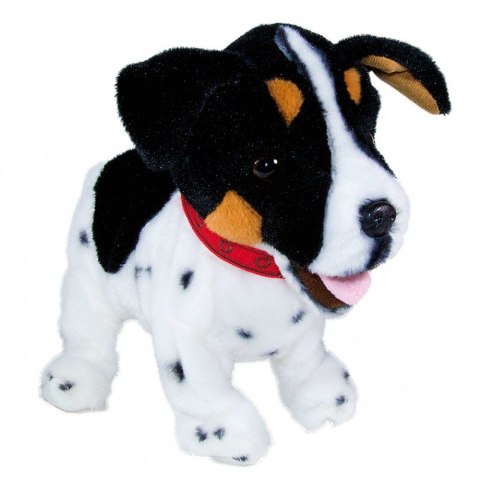 Maskotka interaktywna figo pies reagujący na komendy jack russel terrier