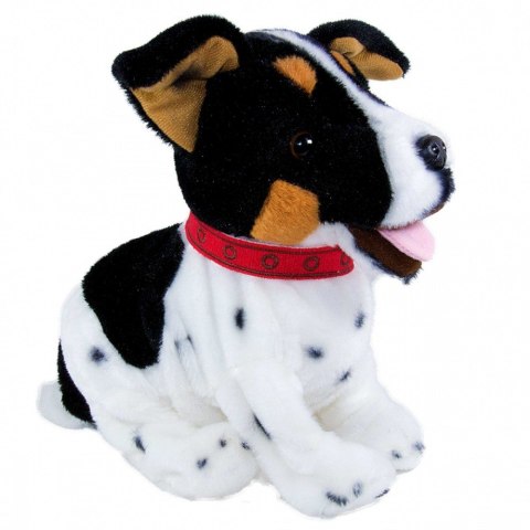 Maskotka interaktywna figo pies reagujący na komendy jack russel terrier