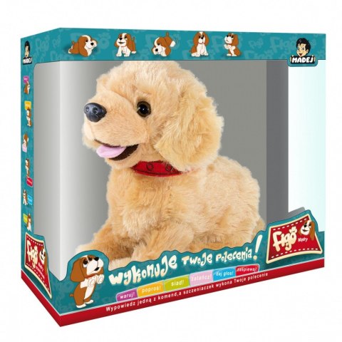 Maskotka interaktywna figo pies reagujący na komendy labrador