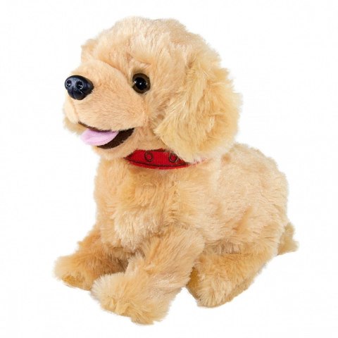 Maskotka interaktywna figo pies reagujący na komendy labrador