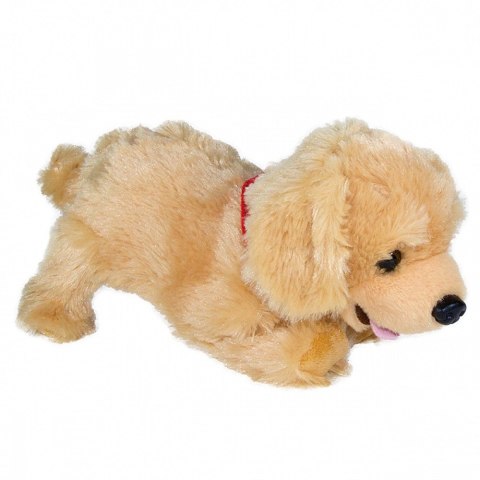 Maskotka interaktywna figo pies reagujący na komendy labrador