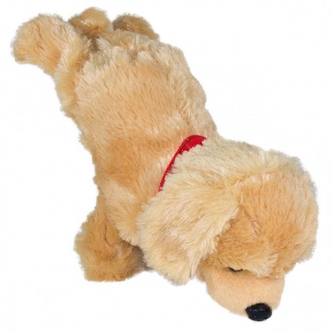 Maskotka interaktywna figo pies reagujący na komendy labrador