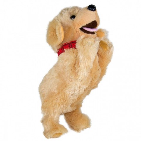 Maskotka interaktywna figo pies reagujący na komendy labrador