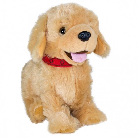 Maskotka interaktywna figo pies reagujący na komendy labrador