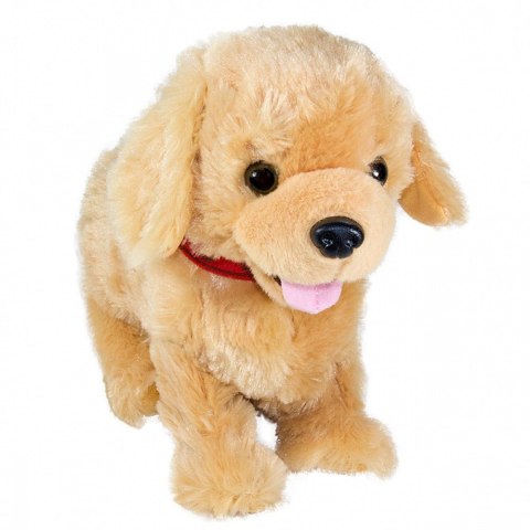 Maskotka interaktywna figo pies reagujący na komendy labrador