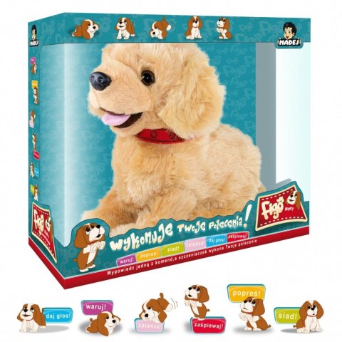 Maskotka interaktywna figo pies reagujący na komendy labrador