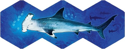 Gra aqua (edycja polska)