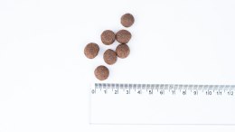 BULT indyk sucha karma dla dorosłych psów 12kg