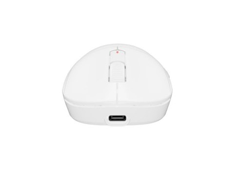 Fury Fury Gaming Mouse | Tanto T4 | Wired/Wireless | 2.4 GHz, Bluetooth, USB | White