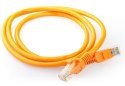 Cablexpert Kabelxpert | CAT 5e | Kabel patch | Nieskręcana para ekranowana (UTP) | Męski | RJ-45 | Męski | RJ-45 | Pomarańczowy | 0,5 m