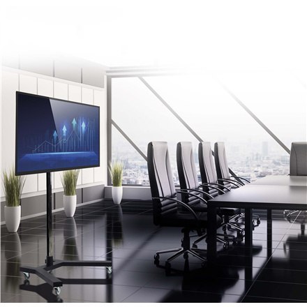 EDBAK EDBAK | TR51c-B | Wózki i stojaki | 37-60 " | Maksymalna waga (udźwig) 80 kg | Czarny