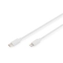 Digitus Digitus | Męski | Apple Lightning | Męski | Biały | 24-pinowy USB-C | 2 m