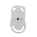 Asus Asus Wireless Mouse | MD102 | Mouse | 2.4 GHz, Bluetooth | White