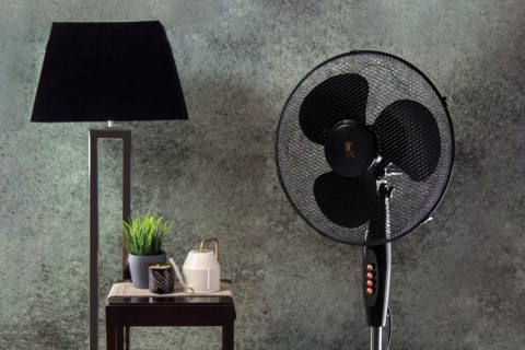 WENTYLATOR PODŁOGOWY OSCYLACYJNY BERLINGER HAUS BH-9130 BLACK ROSE