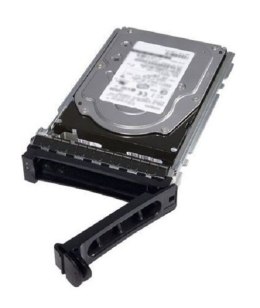 Serwerowy DELL 401-ABHY (12 TB /3.5