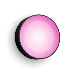 Philips Hue Philips Hue WCA Daylo Outdoor Wall Lantern, Black | Philips Hue