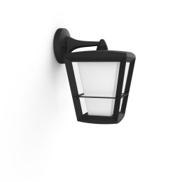 Philips Hue Philips Hue WCA Econic Outdoor Wall Lantern | Philips Hue