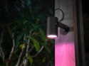 Philips Hue Philips Hue WCA Lily Outdoor Spot Light Base 24V | Philips Hue