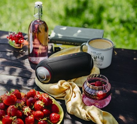 CR 1901 black Głośnik bezprzewodowy - bluetooth