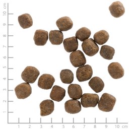 WOLFSBLUT Cold River Adult trout/sweet pota. 12,5kg