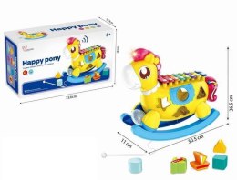 ND21_108270 Konik na biegunach sorter CYMBAŁKI