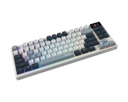 MSI MSI FORGE GK600 TKL WIRELESS SKY | Klawiatura do gier | Bezprzewodowa | USA | Bluetooth | 2,4 GHz, Bluetooth, USB 2.0 | Mechanic