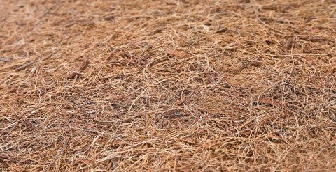 ND33_SILLO-010 MATERAC GRYKA-PIANKA-KOKOS 120×60 (11cm)